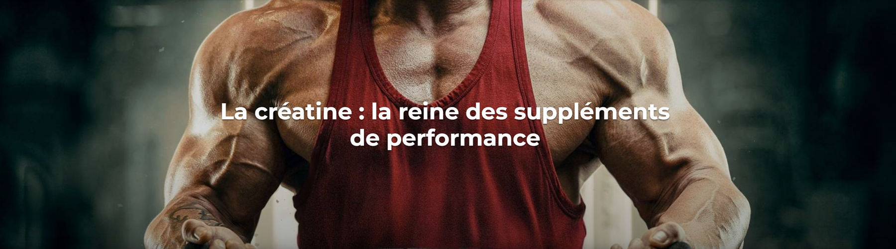 La créatine est-elle la reine des suppléments pour la performance ?