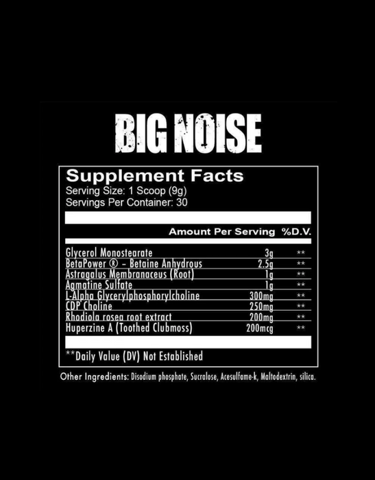 Big Noise Pump